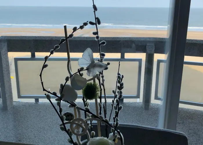 Enjoy@sea * Oostende